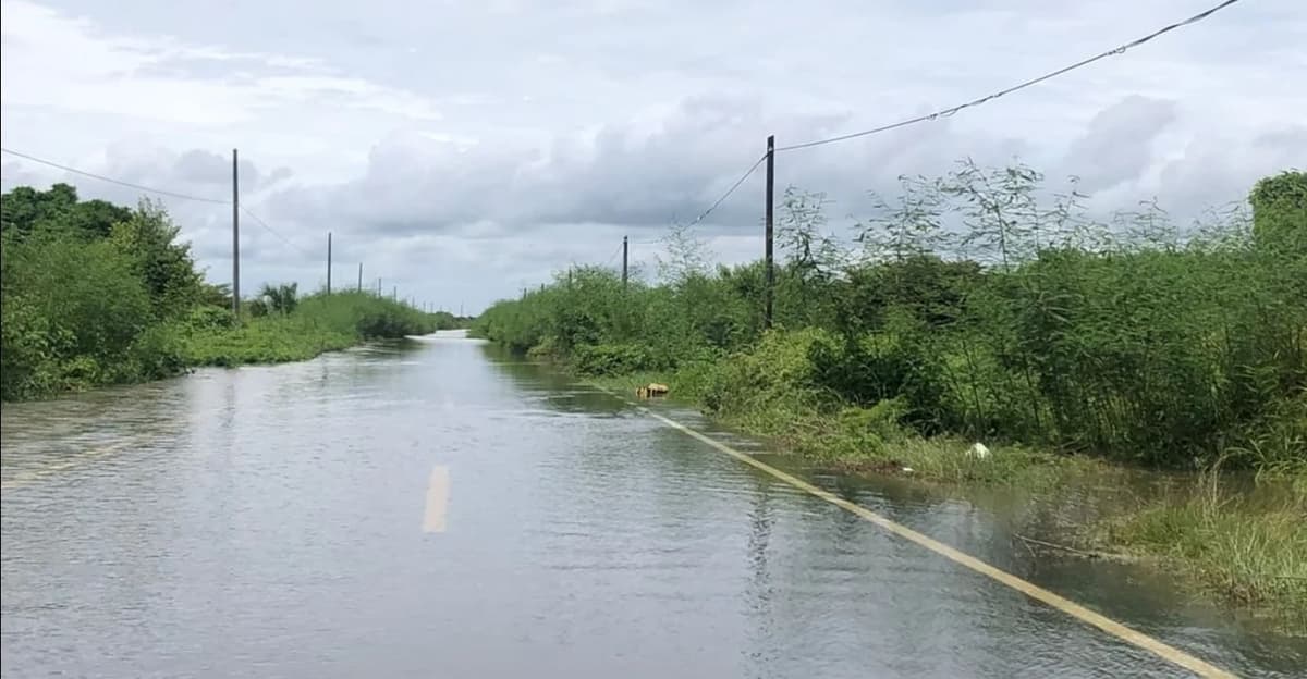 Inundaciones ahora afectan 17 municipios de Oaxaca