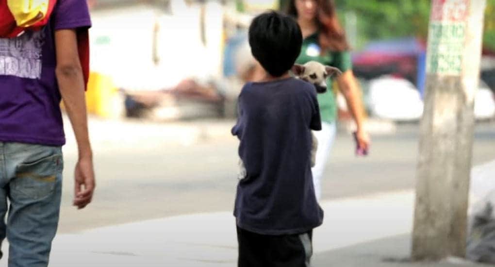 VIDEO VIRAL: Niño abandonado duerme en la calle con su perrito adoptado