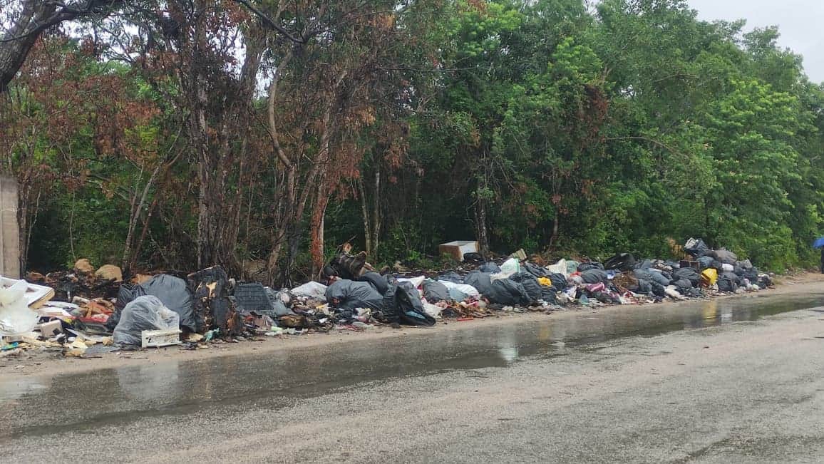GALERÍA: InHouse genera tiradero clandestino en Playa del Carmen