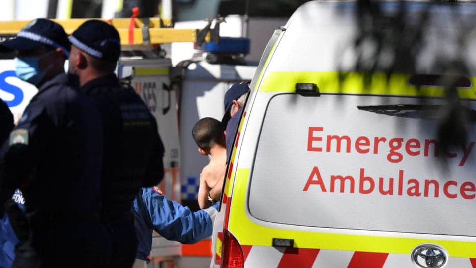 Rescatan a niño con autismo que desapareció por 4 días en bosque de Australia