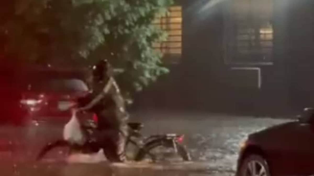 Video: Repartidor de comida “desafía” al huracán Ida, ahora lo buscan para recompensarlo