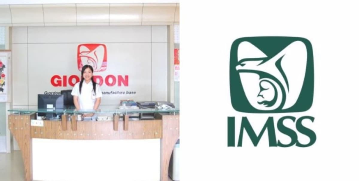 Esta es la historia de la empresa china que plagió el logo del IMSS
