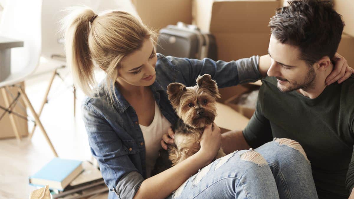 Primera sentencia sobre la custodia compartida de un perro