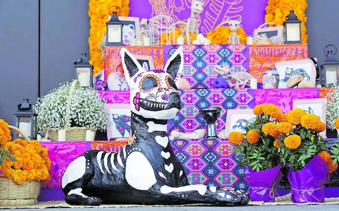 Habrá altar para mascotas por Día de Muertos