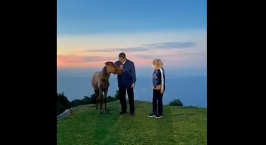VIDEO: '¿Caminamos juntos?' Nicolás Maduro se pone a hablar con un caballo y desata memes