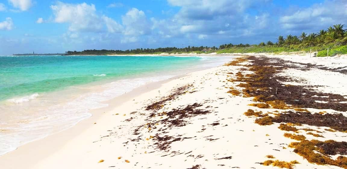 Quintana Roo actualiza ordenamientos ecológicos para proteger su riqueza natural