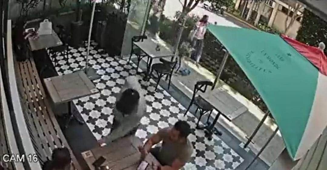 Video: Sujeto roba reloj en Polanco a plena luz del día y en segundos