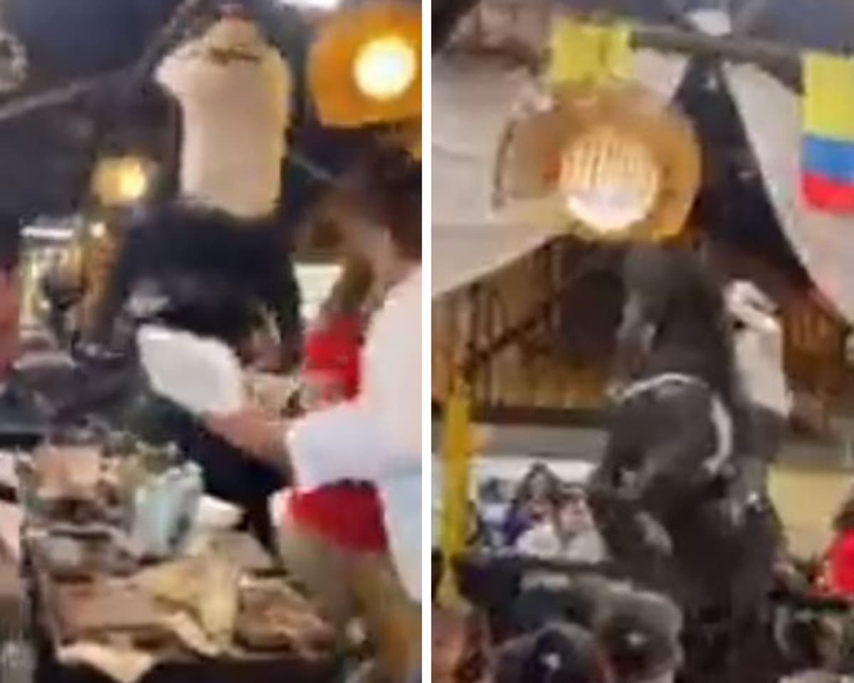 VIDEO: Caballo cae sobre una mesa y asusta a comensales durante show en restaurante