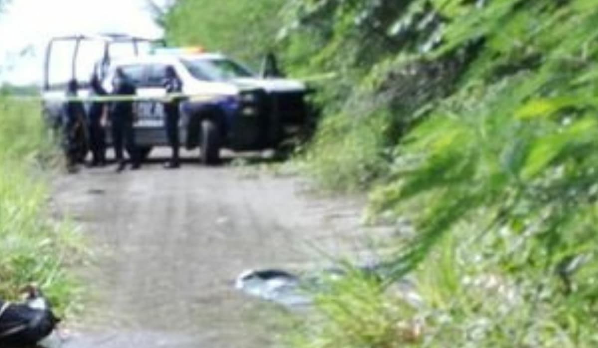 Hallan cuerpo embolsado junto a carretera en Bacalar