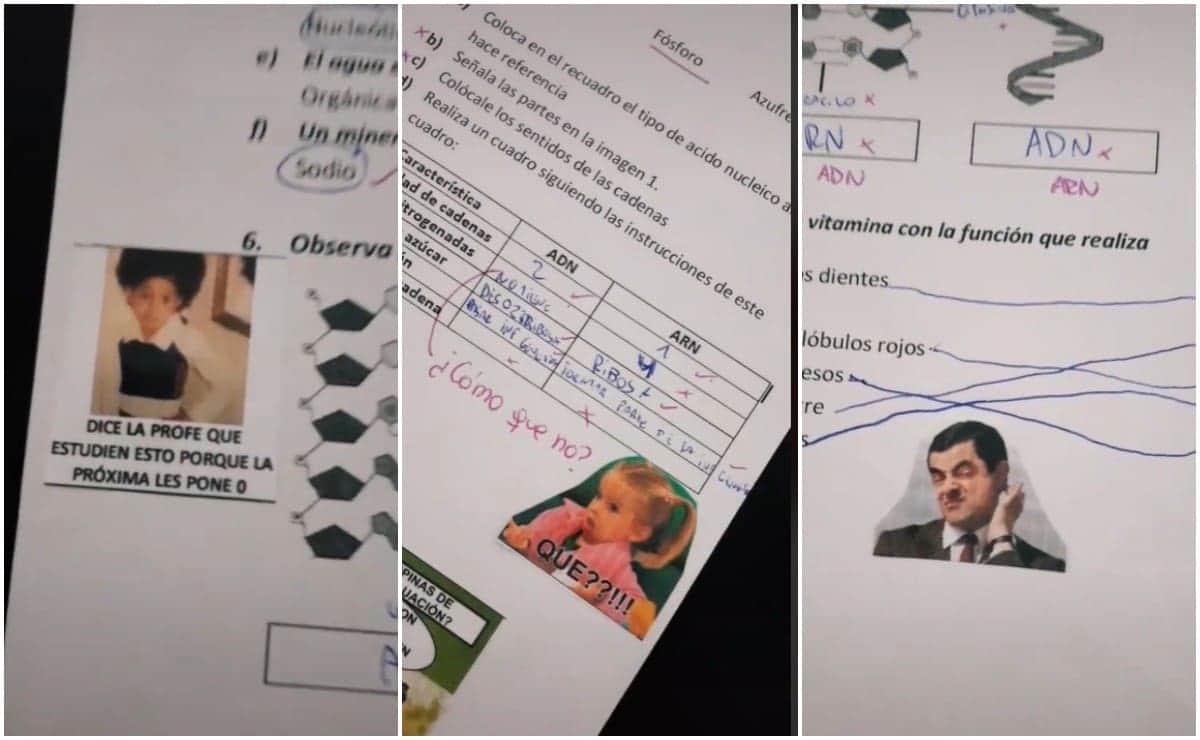 Maestra corrige a sus alumnos con stickers y se vuelve viral