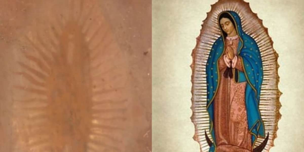 Aparece imagen de la Virgen de Guadalupe tras fuertes inundaciones en Tula