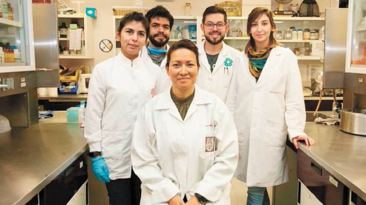 Investigadores del IPN eliminan el Virus del Papiloma Humano en 29 mujeres