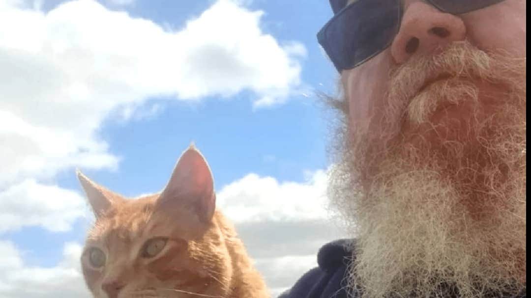 Gato salva a hombre de mordedura de venenosa serpiente tigre