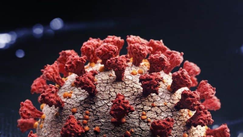 ENTÉRATE| ¿Por qué la nueva variante de Covid-19 se llama Omicron?