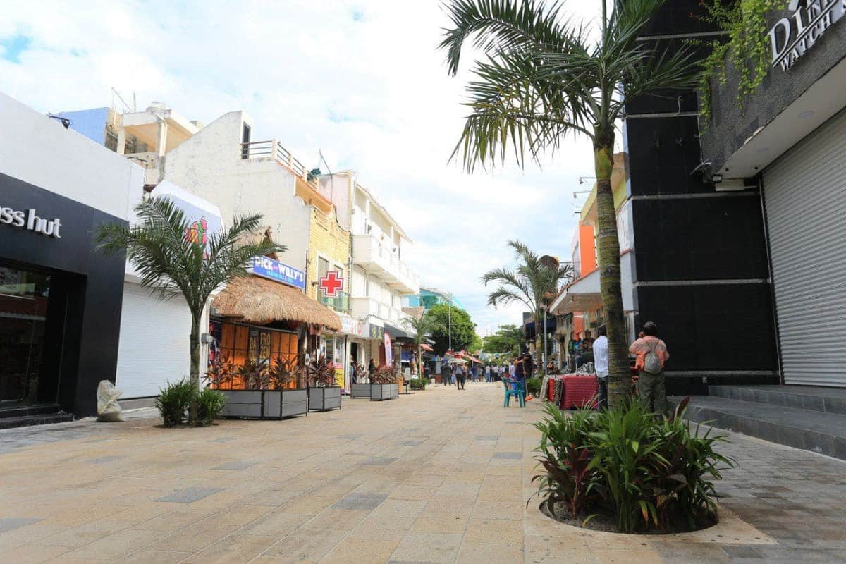 Inicia reforestación de la Quinta Avenida en Solidaridad