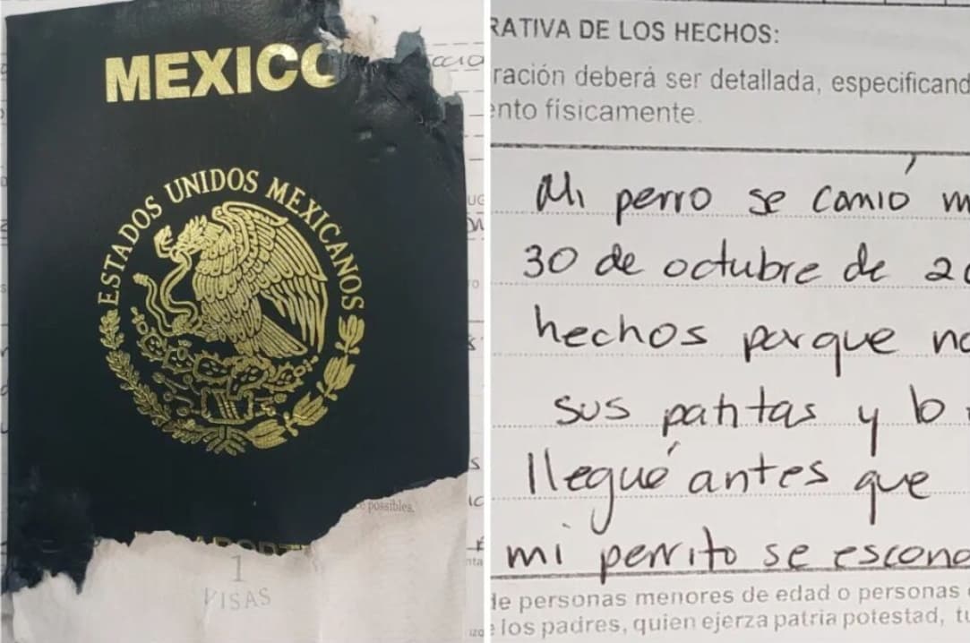 VIDEO: Perrita se come el pasaporte de su dueño y él narra ante la SRE los hechos