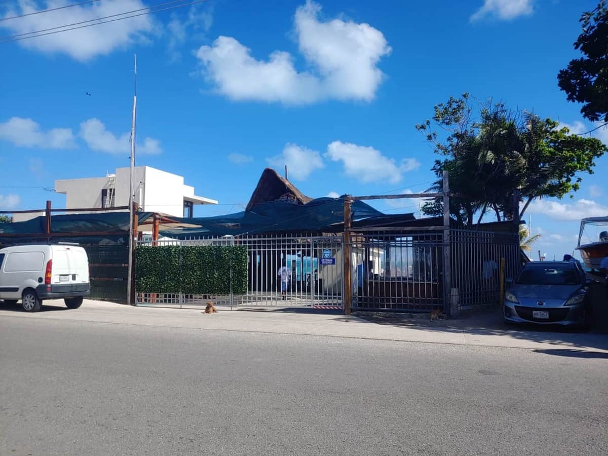 Muere turista mientras snorkeleaba en Isla Mujeres