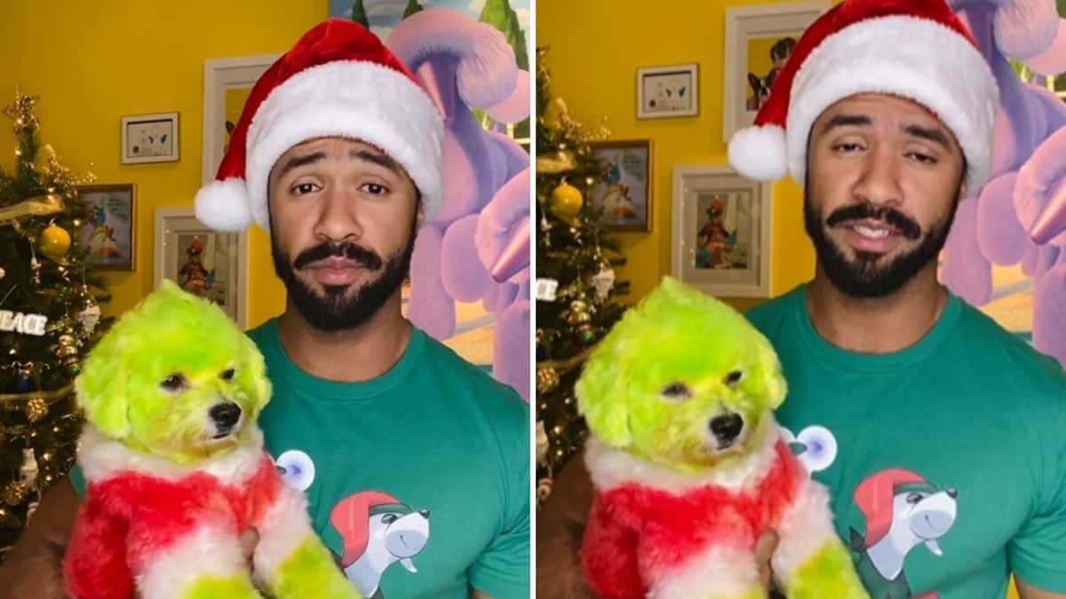 Acusan a peluquero canino de maltrato animal por teñir a un perro de verde 'como El Grinch'