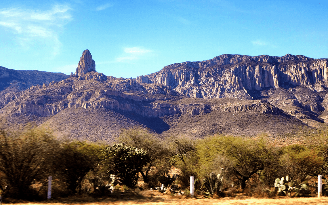 Nueva área natural protegida de San Luis Potosí: la Sierra de San Miguelito