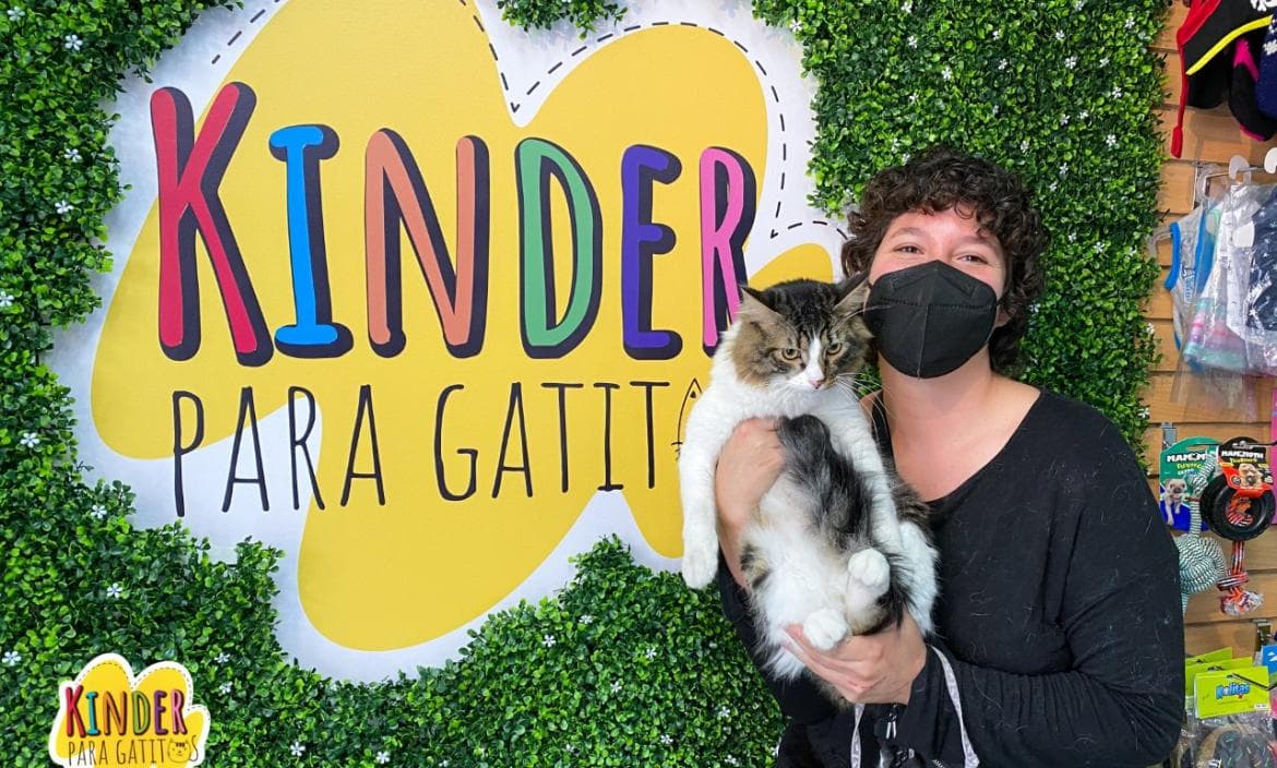 VIDEO: Así es el primer kínder para gatos