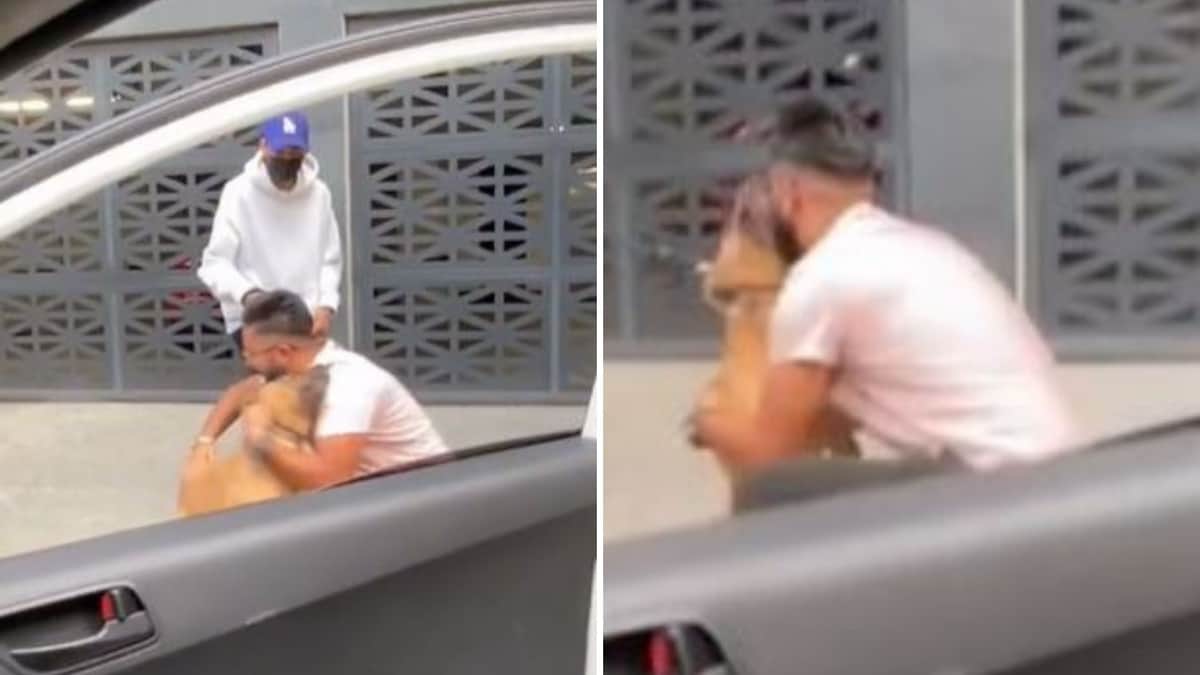 ¡Hermoso reencuentro! Joven se reencuentra con su perro luego de 6 años, pero con otro dueño