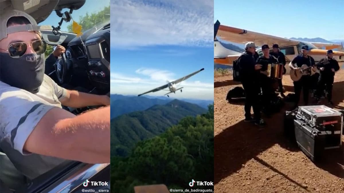 Con videos de armas y amapola: Así llega “La Chapiza” a TikTok