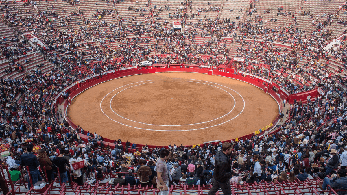 No más corridas de toros en CDMX: se manifiestan afuera de la Monumental Plaza México