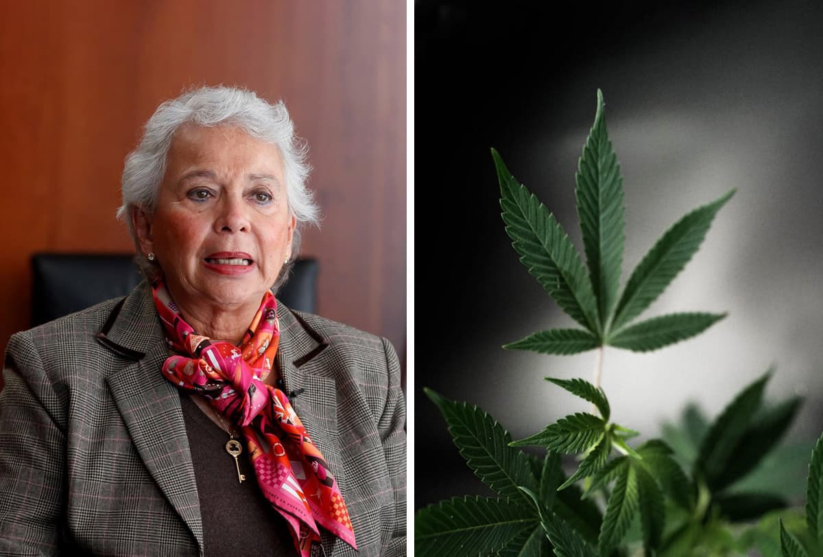 Sánchez Cordero: “El cannabis será prioridad en próximo periodo de sesiones”