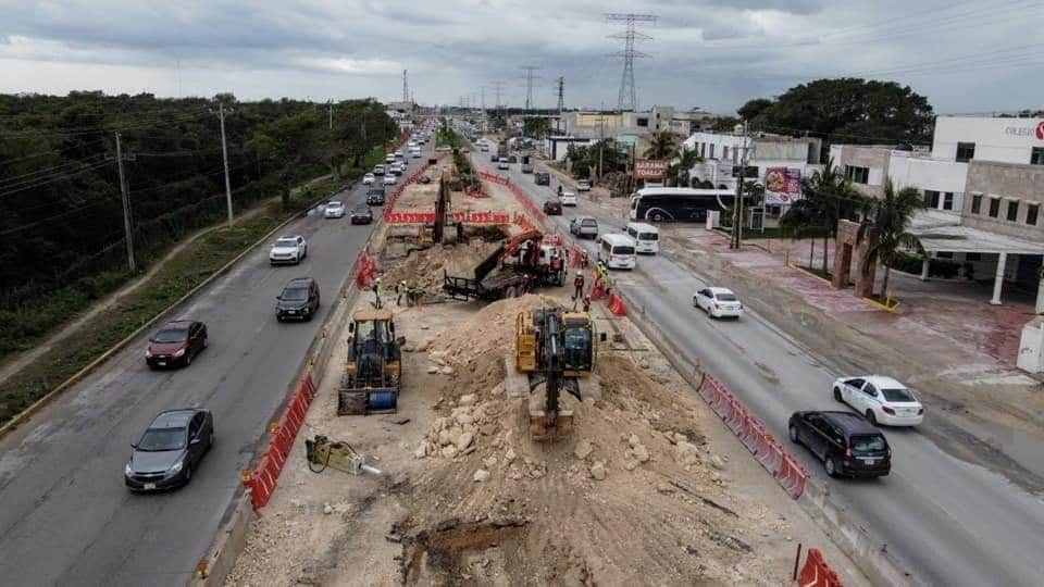 AMA acusa de despeje en vano de árboles por obra del Tren Maya en Playa del Carmen