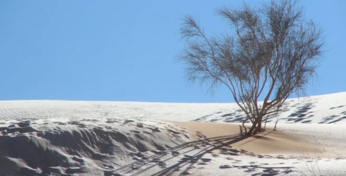 Reportan insólita nevada en el desierto del Sahara en Argelia