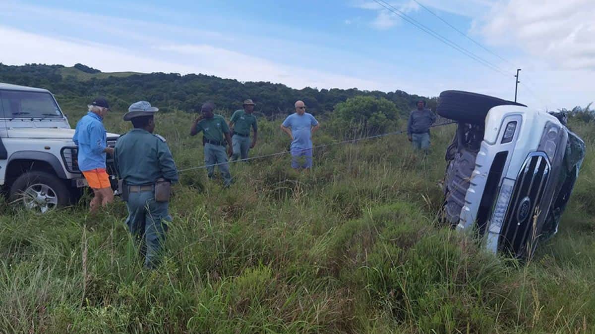 VIDEO: Un elefante enfurecido vuelca un auto con una pareja y dos niños