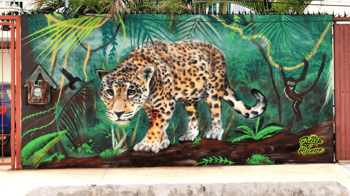 Ciudad de murales: anuncian el “Playa Fest 2022”