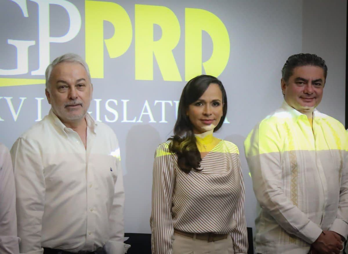 Laura Fernández participa en reunión de diputados del PRD