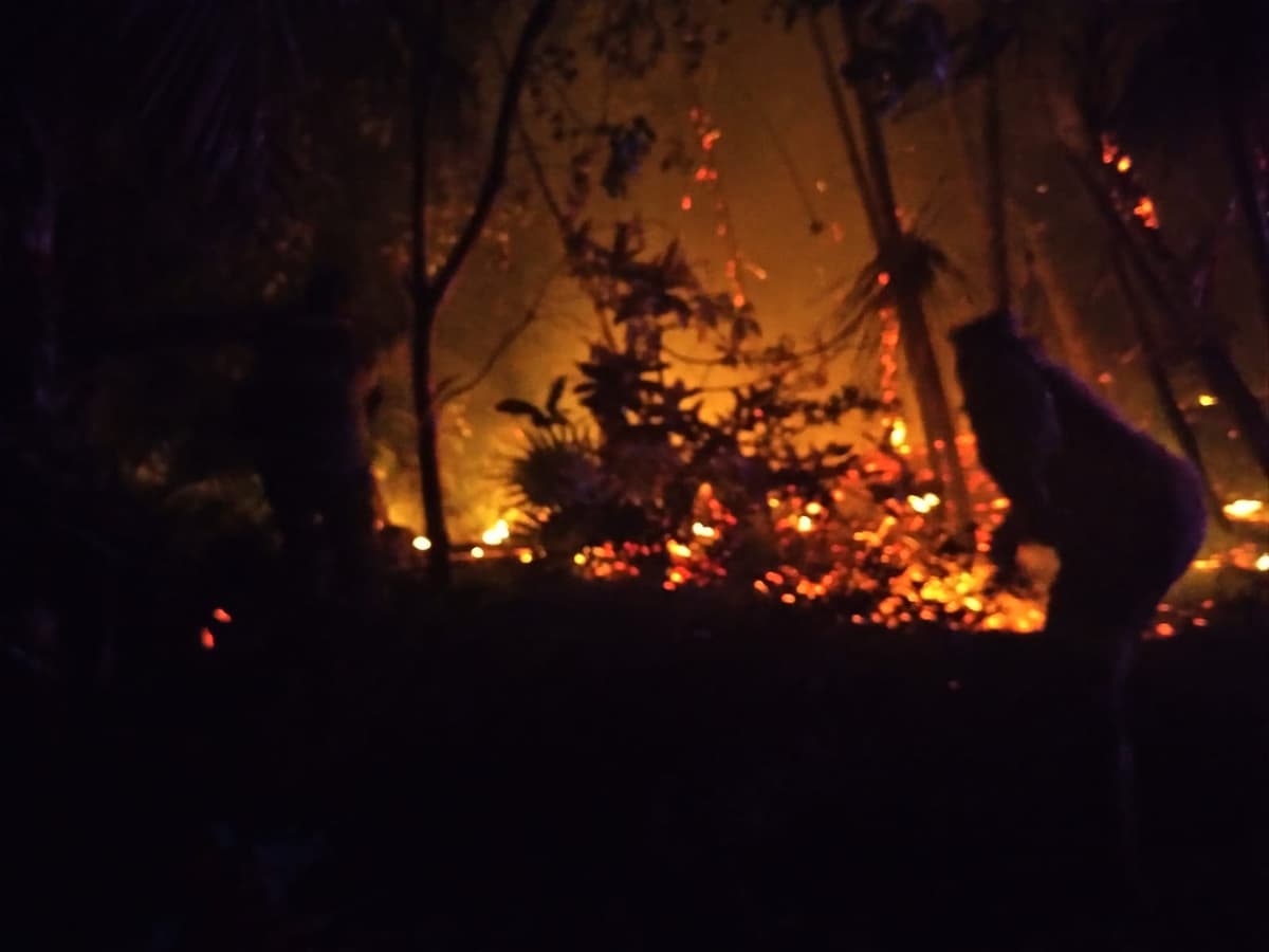 Incendio en Sian Ka'an consume una hectárea de selva; en riesgo el área natural protegida