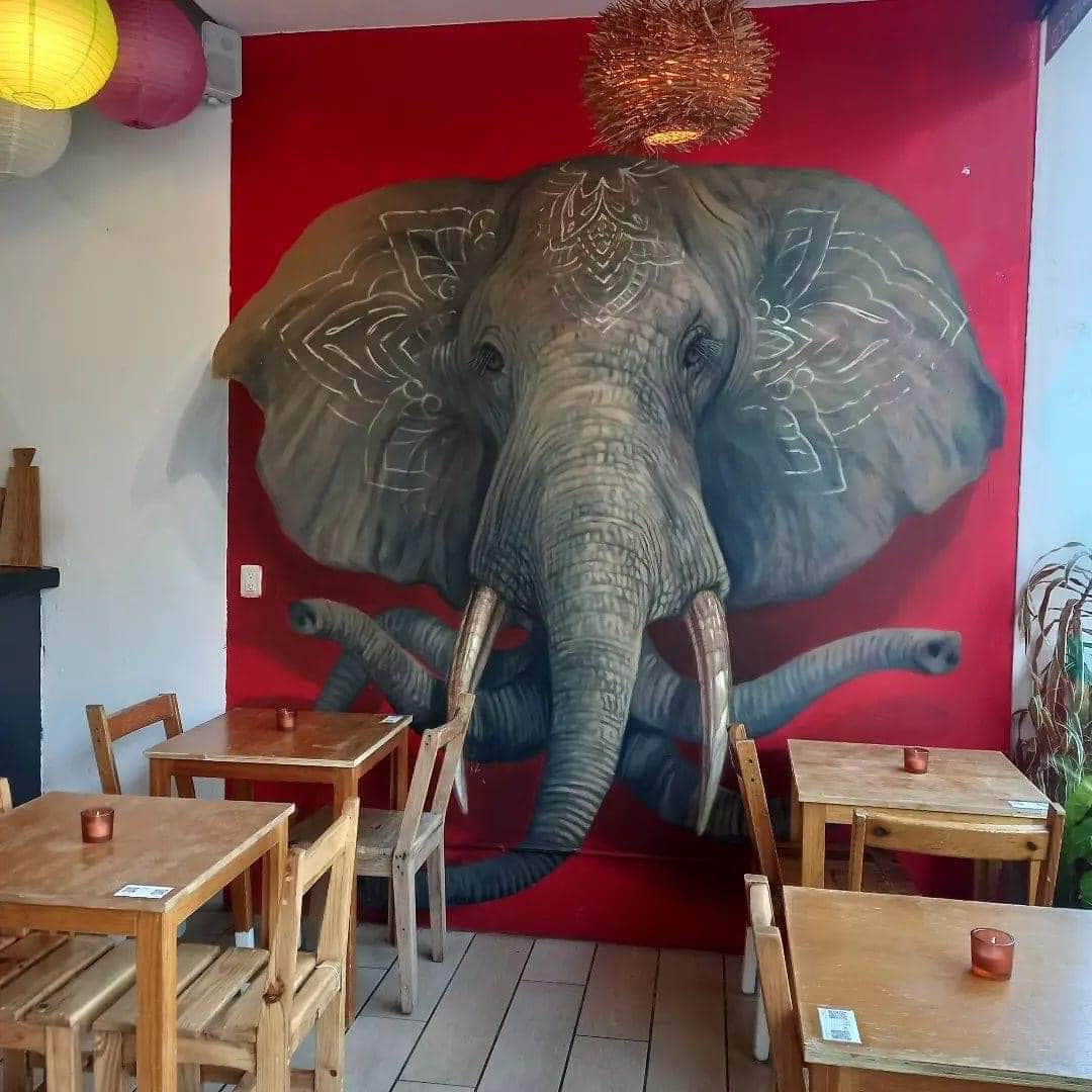 ¿Mural o cabeza de elefante real? El artista urbano de Playa del Carmen que juega con tus sentidos