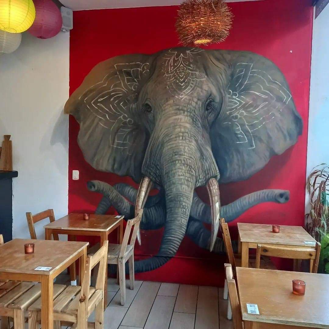 ¿Mural o cabeza de elefante real? El artista urbano de Playa del Carmen que juega con tus sentidos