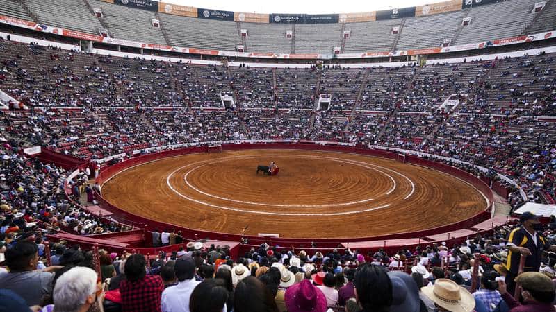 ¿Adiós corridas de toros? Plaza México cierra temporada con protestas en contra de la tauromaquia