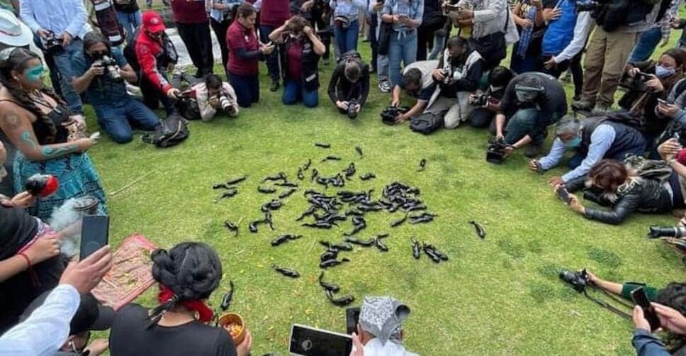 “Ajolotón” en Xochimilco desata fuertes críticas de especialistas, ambientalistas y activistas