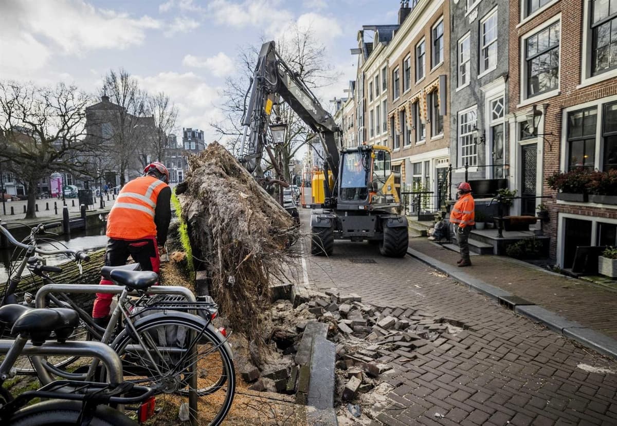 Tormenta Eunice deja miles de casas sin electricidad y muertos en Gran Bretaña y Francia