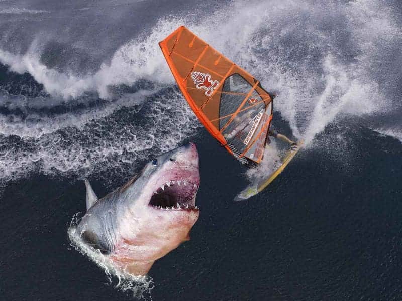 Tiburón devora a un bañista y provoca cierre de playas en Sídney