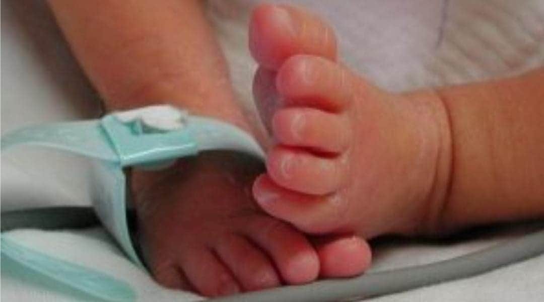 Bebé Tadeo estuvo 24 horas en penal de Puebla antes de que arrojaran restos a la basura