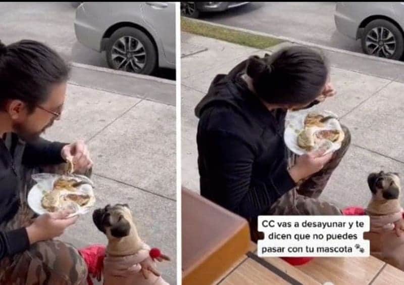 Le negaron entrar a un restaurante con su perro, así que comió afuera con él