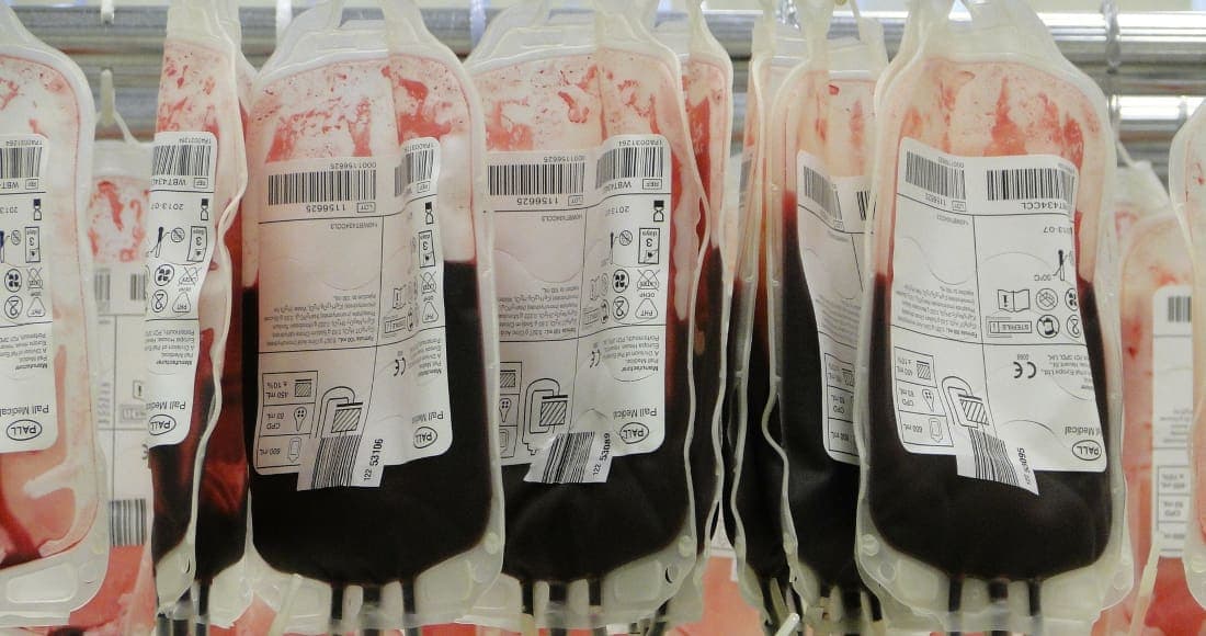 Padres rechazan donaciones de sangre para su hijo y les suspenden la patria potestad
