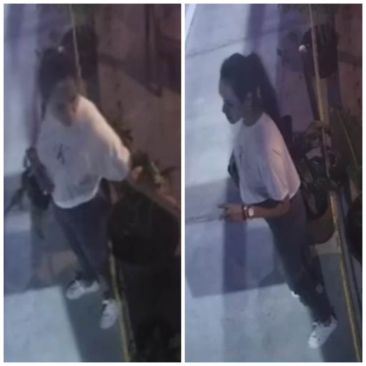 VIDEO: Así roba carterista en un restaurante de Puerto Morelos