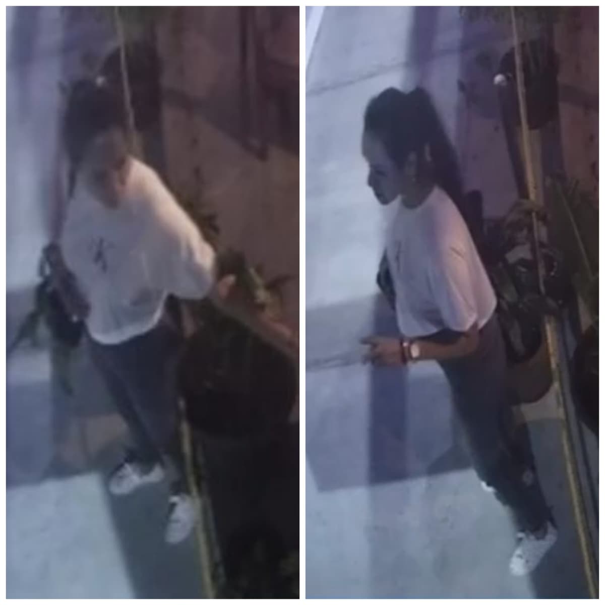 VIDEO: Así roba carterista en un restaurante de Puerto Morelos