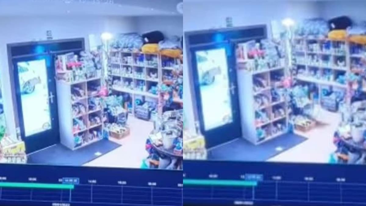 Tienda de mascotas sufre ataques paranormales y pide ayuda a grupo de 'cazafantasmas'