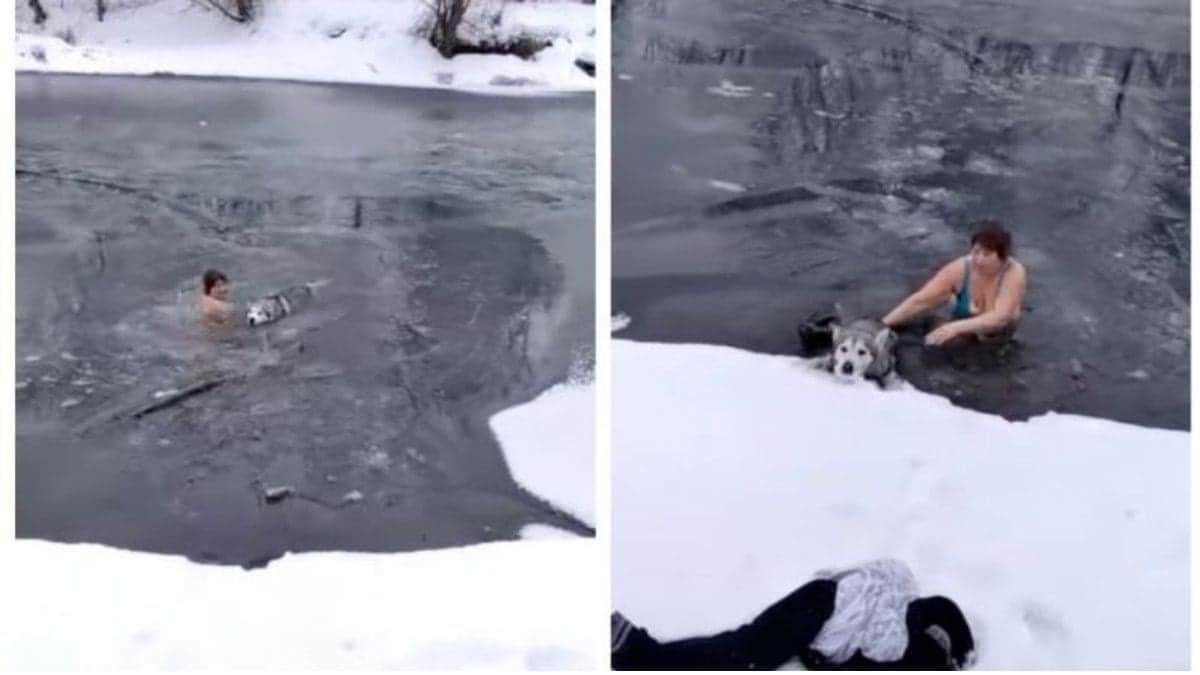 VIDEO: Mujer salta a río congelado para rescatar a un perrito