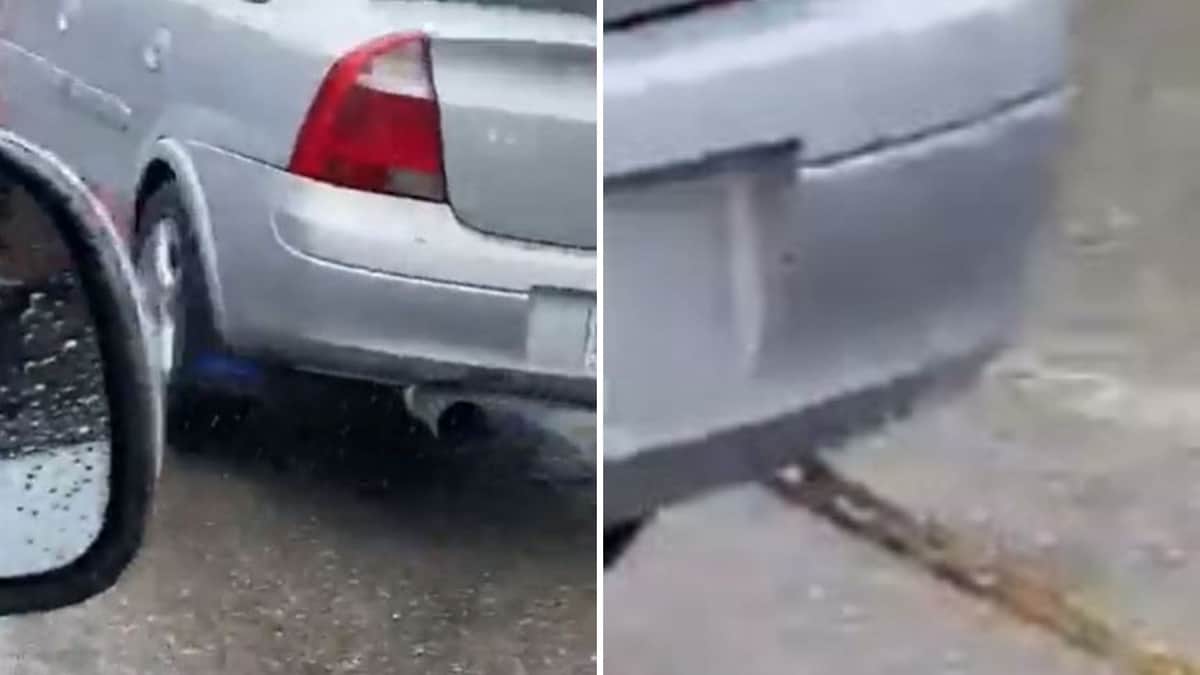 Captan a conductor jalando a un perrito con una cuerda por las calles de Tabasco, levantan denuncia