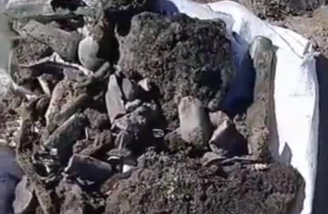 Video: Madres Buscadoras de Sonora hallan un campo de exterminio