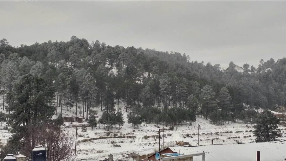 Durango registra temperaturas de 15 grados bajo cero y nevadas en 11 municipios